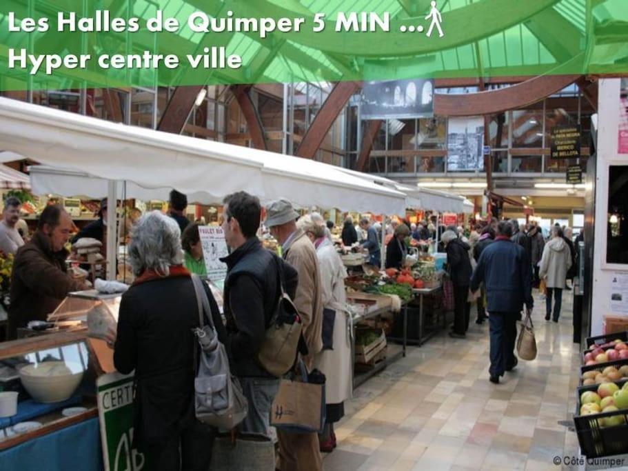 Oo Le Jardin Oo Paisible Studio Equipe Et Bien Place Quimper Exteriér fotografie